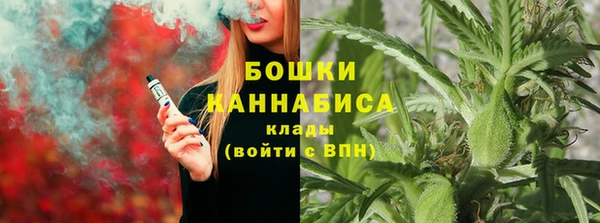 PSILOCYBIN Белоозёрский